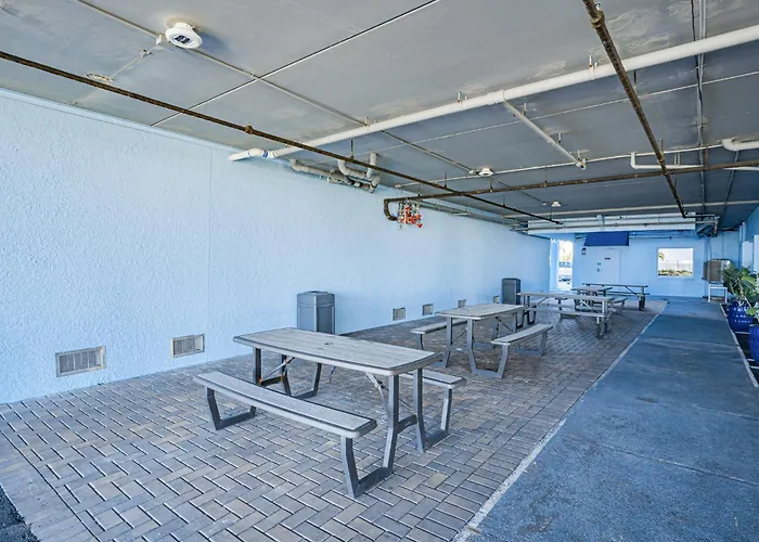 Dollar 202 Apartment *